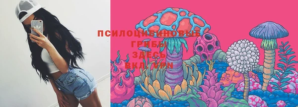 бошки Волосово